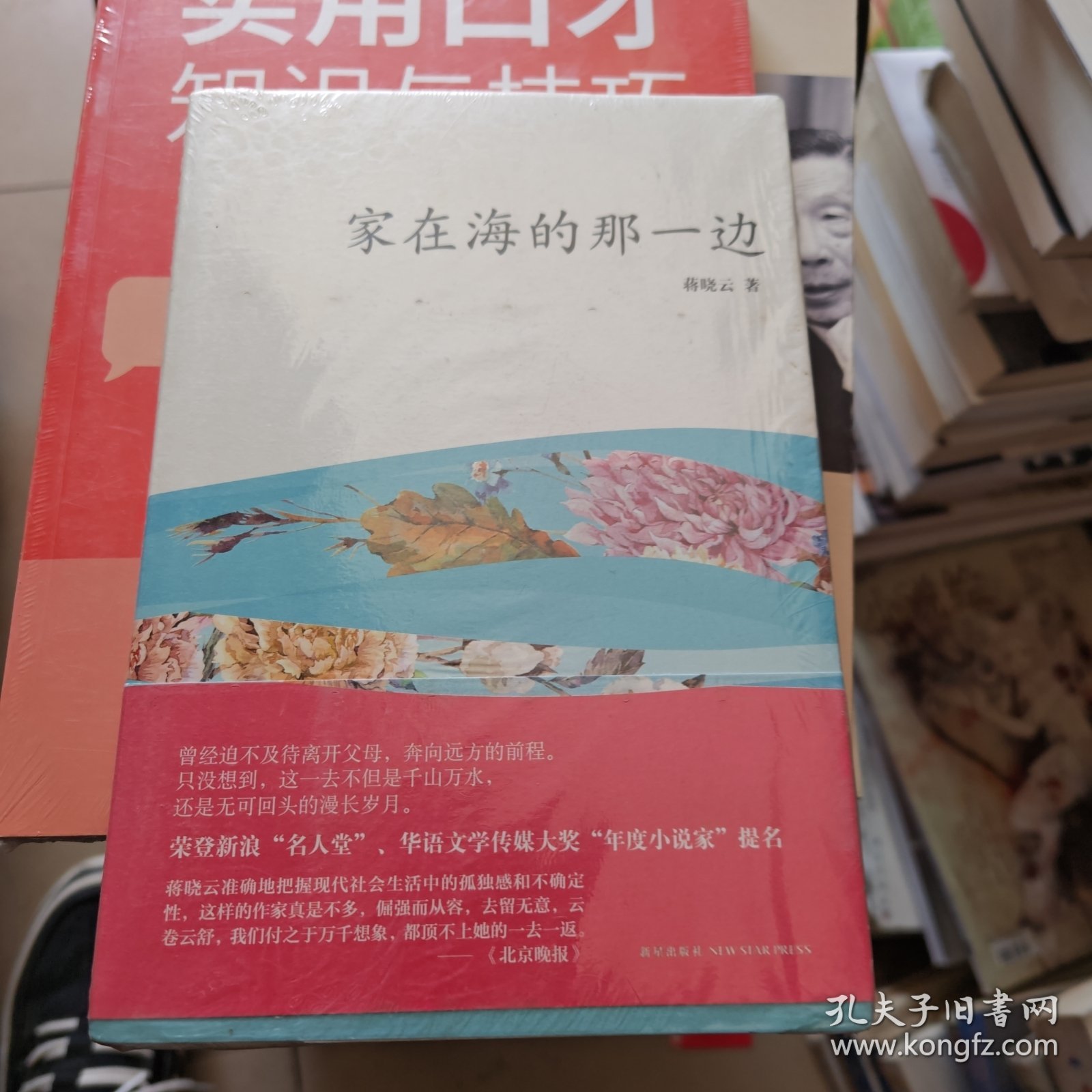 家在海的那一边