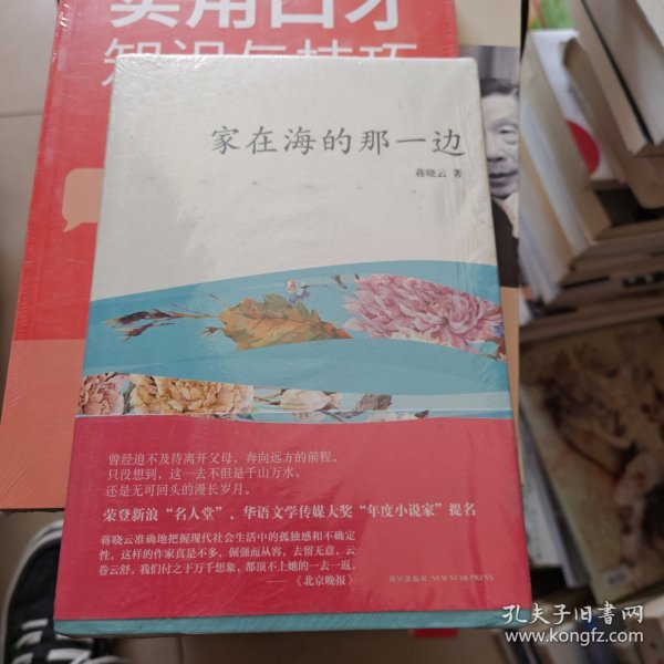 家在海的那一边