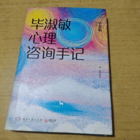 毕淑敏心理咨询手记