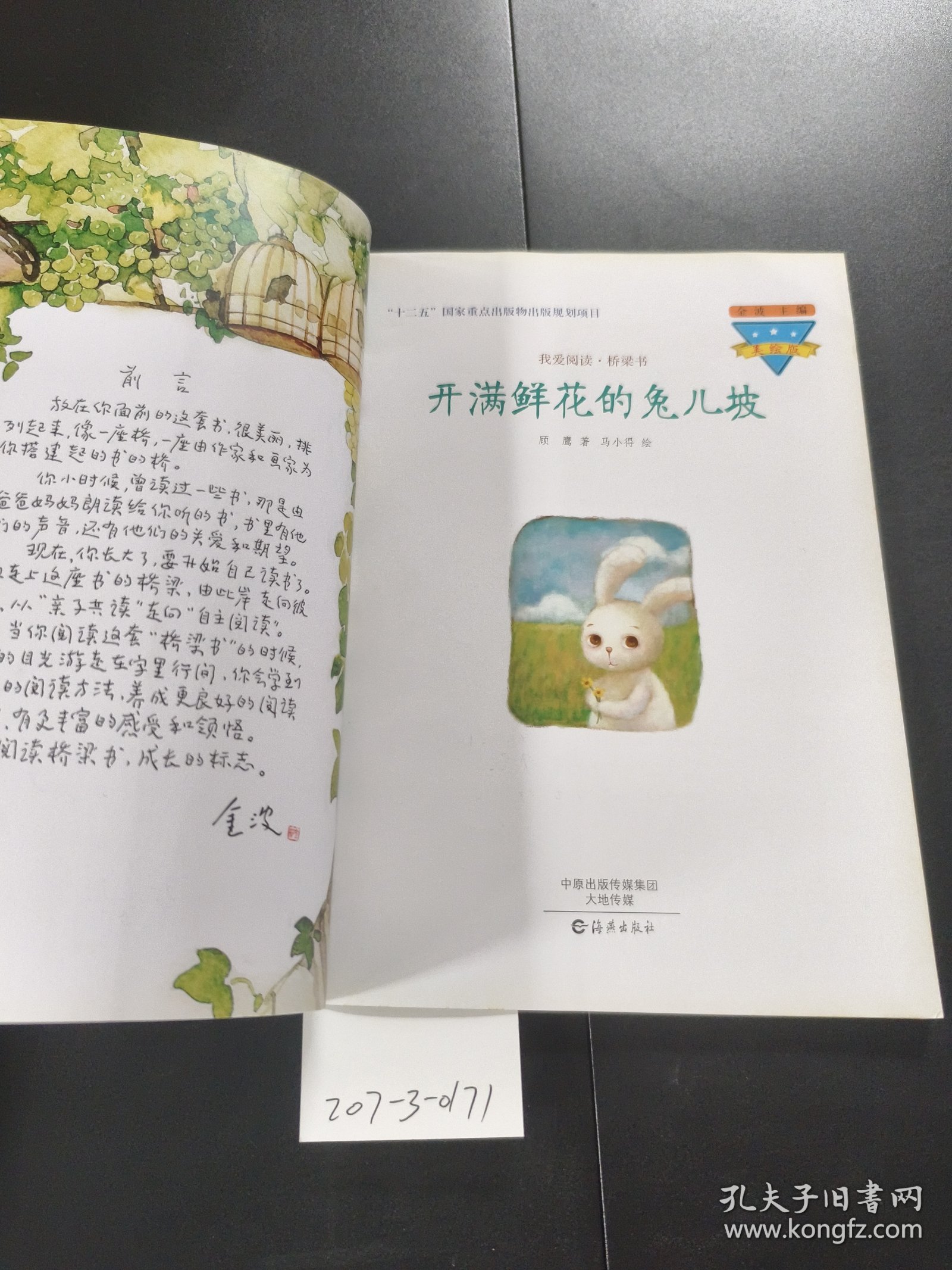 开满鲜花的兔儿坡 美绘版