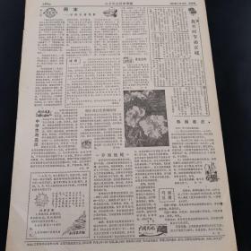 老报纸（生日报）：《 北京科技报中学版》周报 1983年4月26日第64期，低价出售（实物拍图 外品内容详见图，特殊商品，可详询，售后不退）