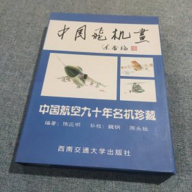 中国飞机画