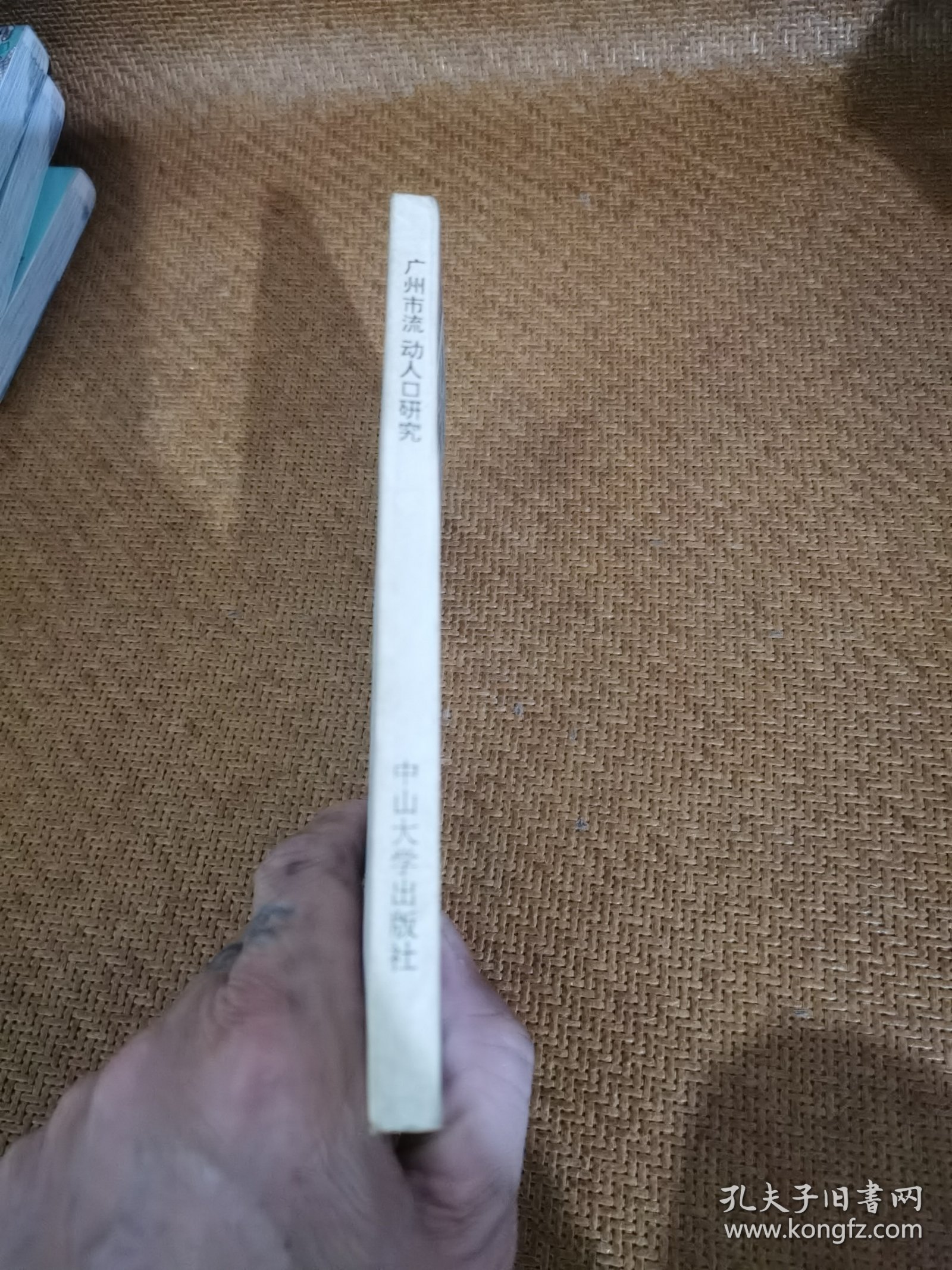 广州市流动人口研究