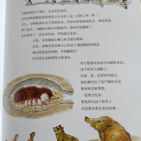 加古里子自然大图鉴：鼹鼠有疑问