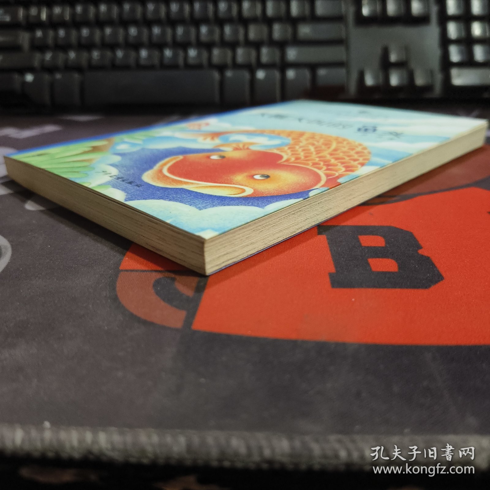 大作家·小读者 金波纯美童话精选（拼音版）大喊大叫的鱼头