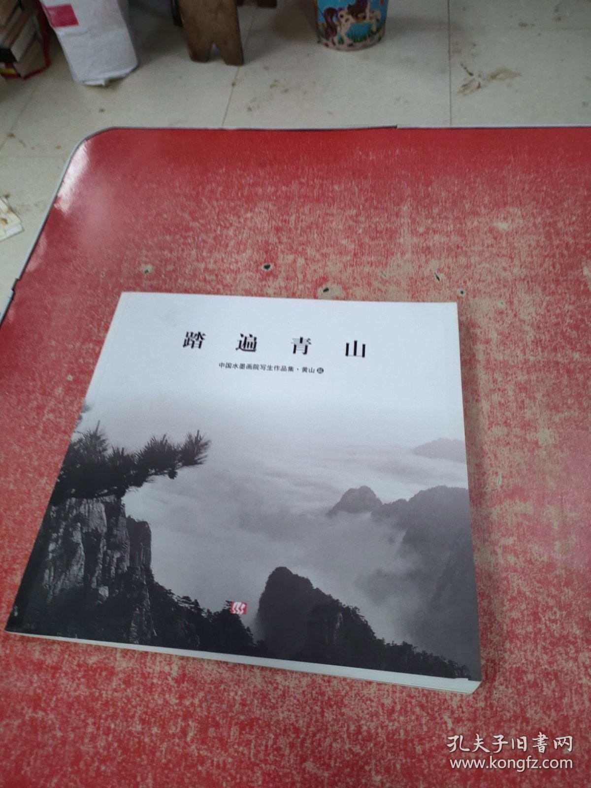 踏遍青山——中国水墨画院写生作品集·黄山篇