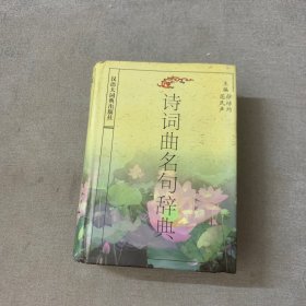 诗词曲名句辞典