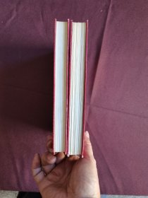 红楼梦上下册精装绘画版