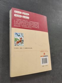 小鹿斑比
