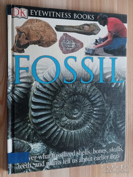 英文书 DK Eyewitness Books: Fossil by Paul Taylor (Author)