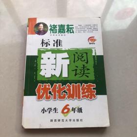 标准新阅读优化训练（小学生6年级）