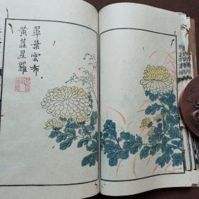 补图勿拍，   康熙青在堂芥子园画传二集梅谱菊谱共4册全