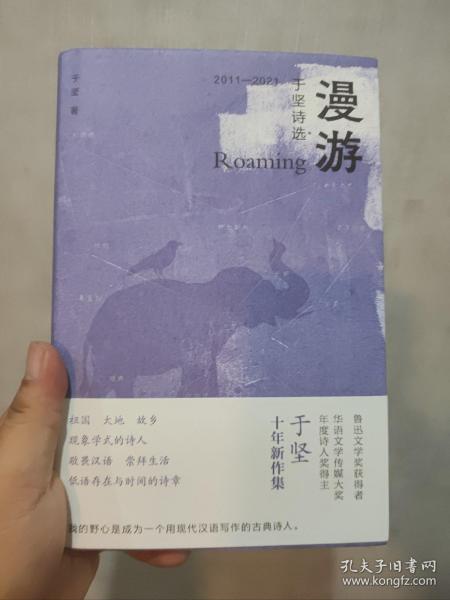 （精装）漫游：于坚诗选：2011-2021（鲁迅文学奖获得者、华语文学传媒大奖年度诗人奖得主 十年新诗自选集）