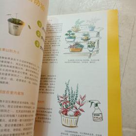 图解组合盆栽制作与观赏