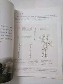 墨点字帖妙笔丹青写意竹子/美术国画入门水墨画技巧教材