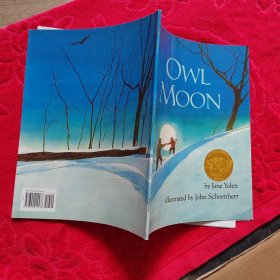 Owl Moon