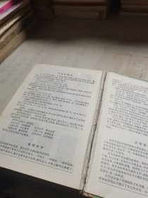 新编小学生字典