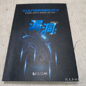 漏洞（第二版）