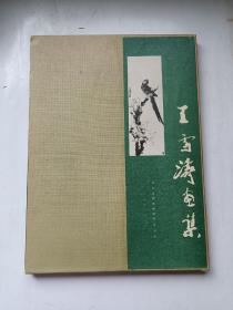 王雪涛画集（人民美术出版社1994年印刷）精装8开带函套