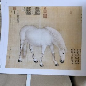 正版现货 荣宝斋画谱（古代部分87）：郎世宁画马部分