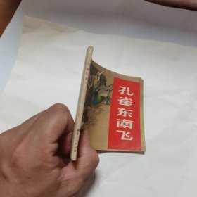 孔雀东南飞