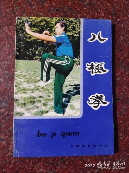 八极拳，蒋浩泉著，武术书籍，武功类书籍 85品3