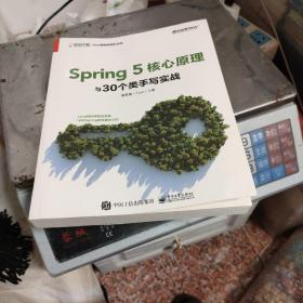 Spring5核心原理与30个类手写实战