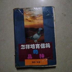 怎样培育信鸽的品种。32开本