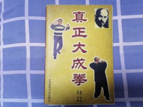 真正大成拳