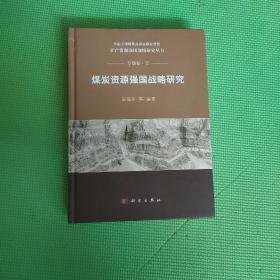 煤炭资源强国战略研究