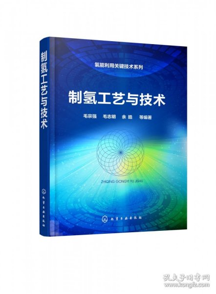 氢能利用关键技术系列--制氢工艺与技术