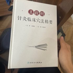 王毅刚针灸临床穴法精要