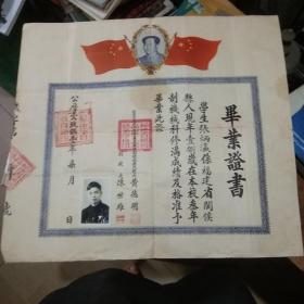 毕业证书1951年