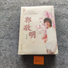 郭敬明 作品集普通图书/文学9787020039944