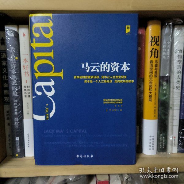 马云的资本