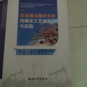 低渗透油藏水平井找堵水工艺技术与实践