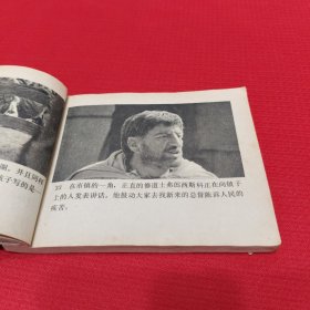 佐罗