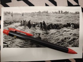 1968年照片，四川宜宾市胜利公社田坝大队营盘生产队的社员收割油菜，可见伟人语录伟人照片