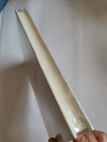 龙虫并雕斋诗集（王力全集）