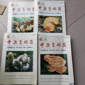 中国食用菌双月刊2007.3.4.2008.5.6期，〔四期〕