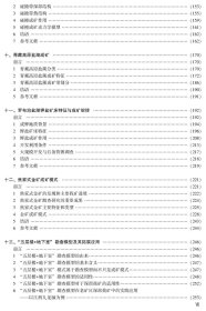 中国矿产地质志·重要成矿理论卷 < 正版全新可开发票)