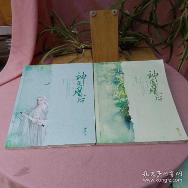 神医凰后2上下册