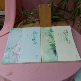 神医凰后2上下册