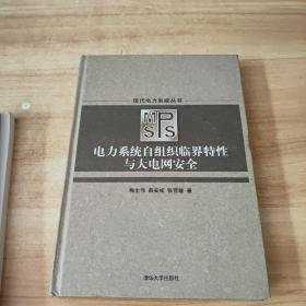 电力系统自组织临界特性与大电网安全