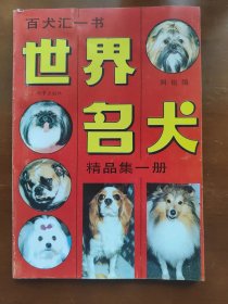 世界名犬精品集
