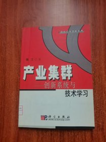 产业集群：创新系统与技术学习