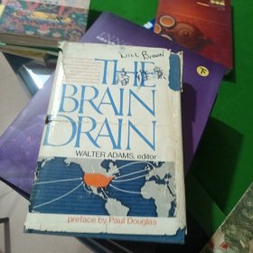 the brain drain人才流失