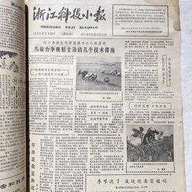 浙江科技小报（1964.10.16-1965.12.23）总第8期到36期，后面几份报纸有残缺，如图