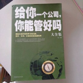 給你一個公司，你能管好嗎大全集