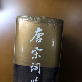 唐宋词鉴赏辞典(唐五代北宋)